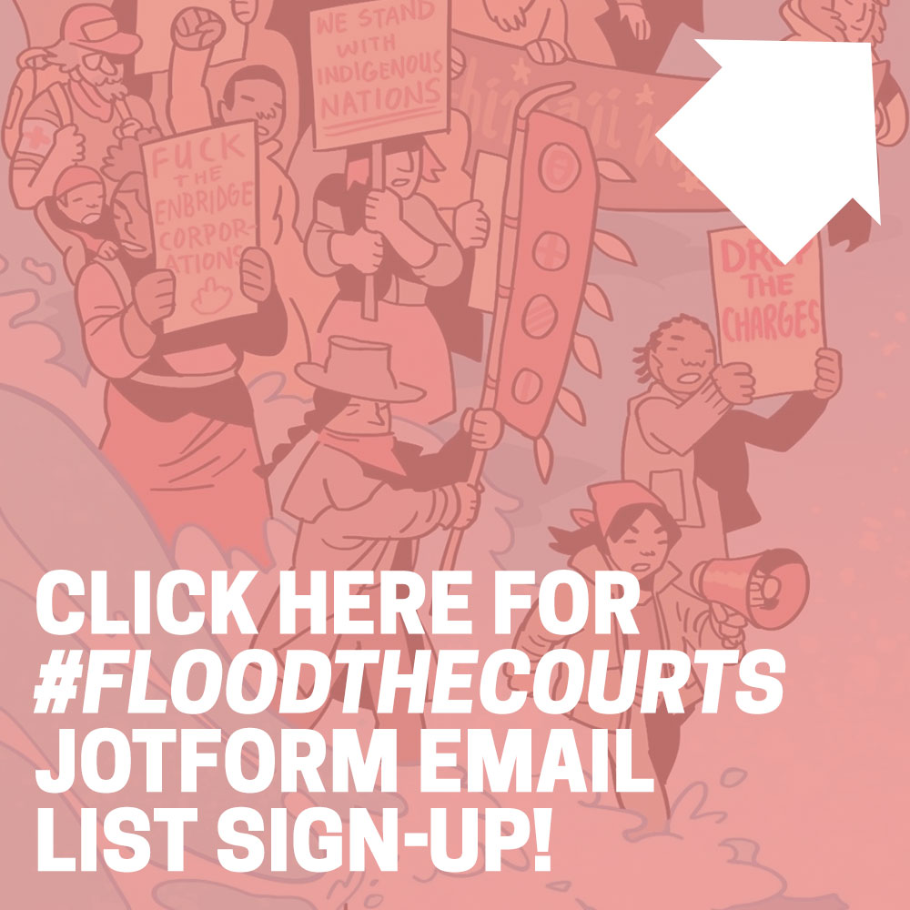 subscribe to floodthecourts email signup